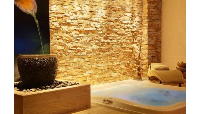 Hotel Best Western Le Patio Des Artistes poza 14