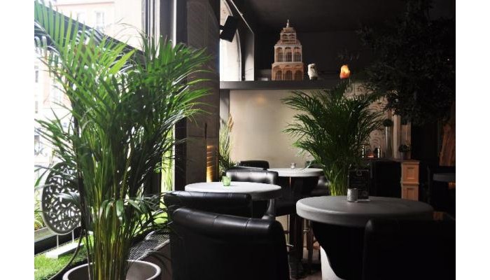 Grand Hotel Bellevue poza 5