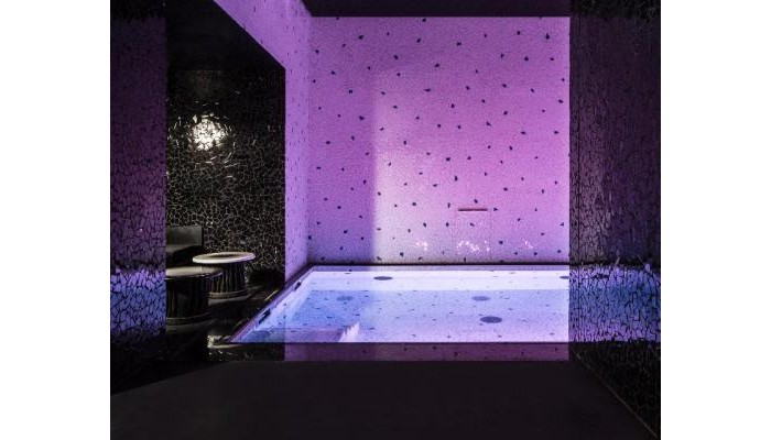 Hotel Les Bains poza 7