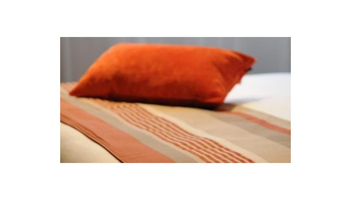 Best Western Plus Hotel De Chassieu poza 32