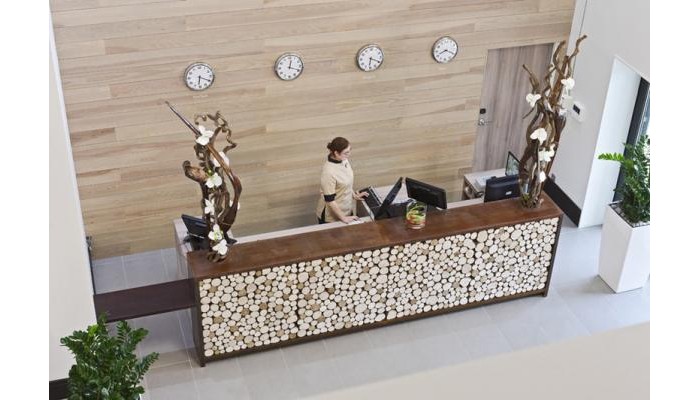 Hotel Golden Tulip Lyon Eurexpo poza 5