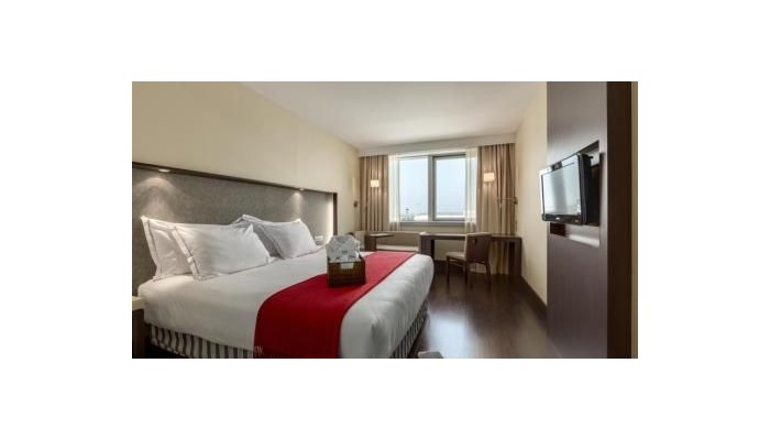 Hotel Nh Lyon Airport poza 3