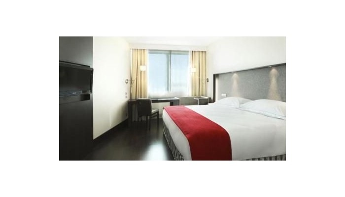 Hotel Nh Lyon Airport poza 1