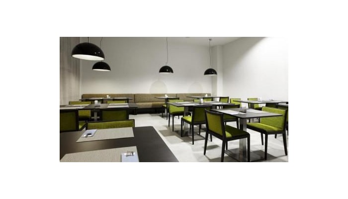 Hotel Nh Lyon Airport poza 22