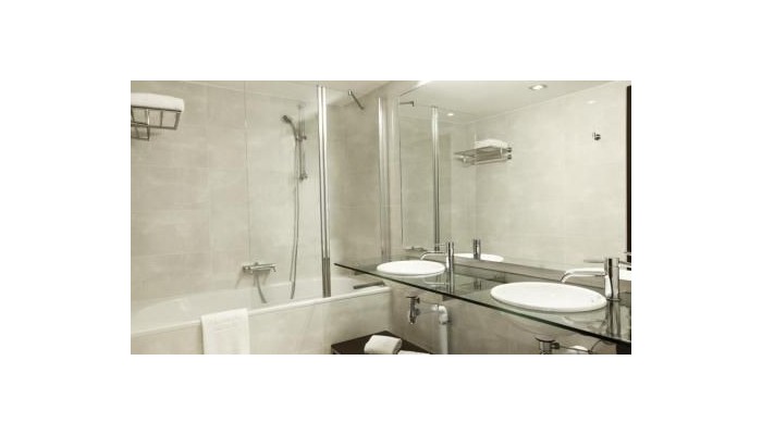 Hotel Nh Lyon Airport poza 18