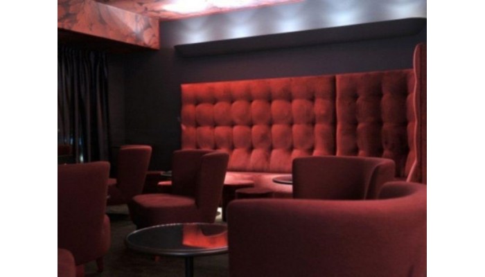 Sofitel Lyon Bellecour Hotel poza 5