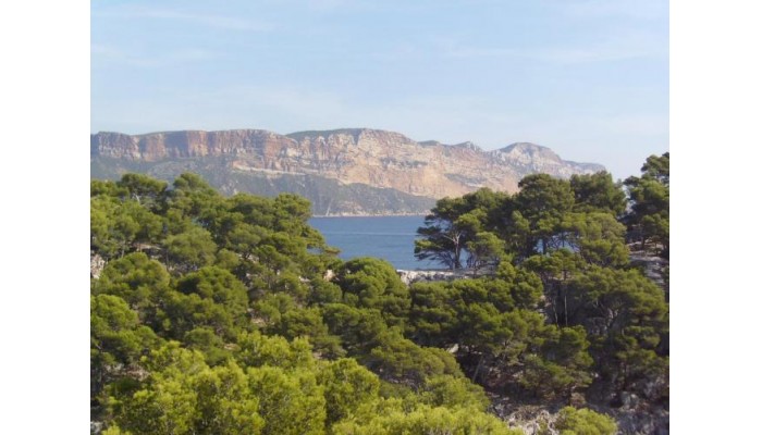 Poza pentru Bw Marseille Bonneveine Prado Hotel 759-1538724651 Bw Marseille Bonneveine Prado Hotel poza 18