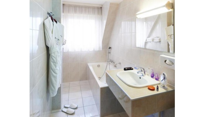 Hotel Best Western Au Cheval Blanc Mulhouse Nord poza 9