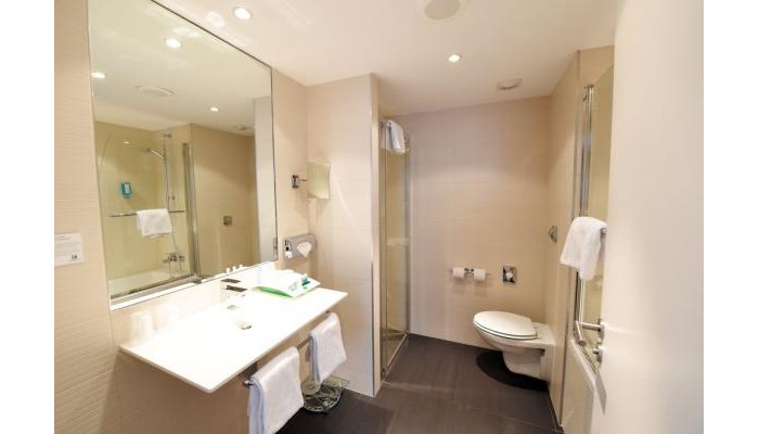 Hotel Holiday Inn Mulhouse poza 9