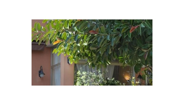 Poza pentru Anis Hotel 194-1475098382 Anis Hotel poza 20