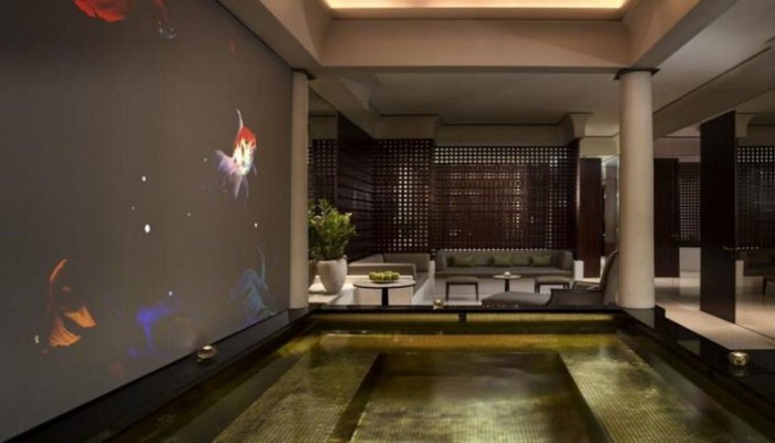 Hotel Park Hyatt Paris Vendome poza 5