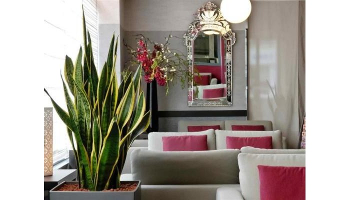 Adagio Hotel Paris Montrouge poza 5