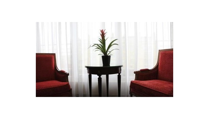 Best Western Amiral Hotel poza 31
