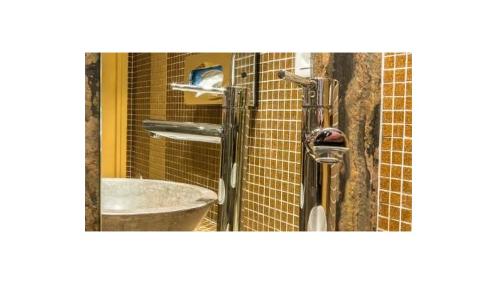 Hotel Moulin Plaza poza 26