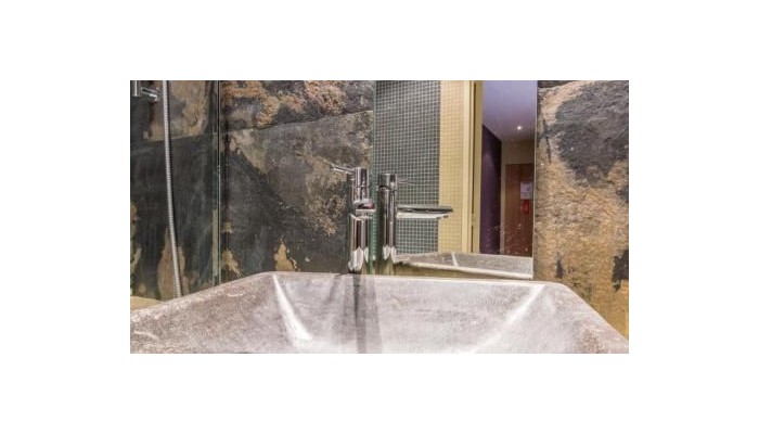 Hotel Moulin Plaza poza 11