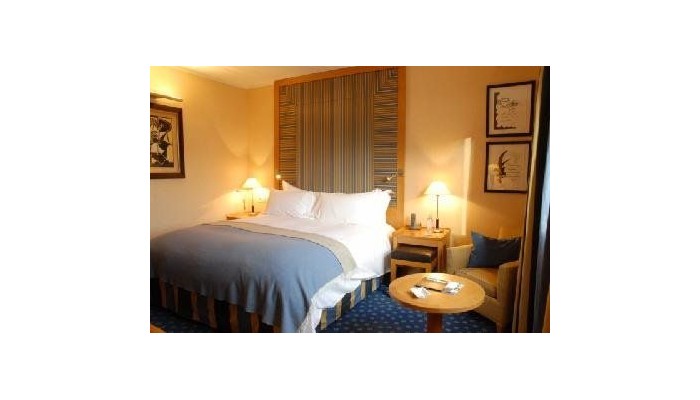 Hotel Pullman La Defense poza 2