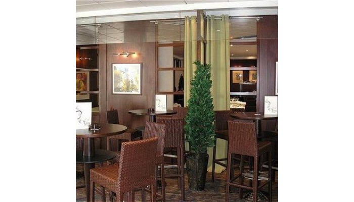 Hotel Holiday Inn Paris Charles De Gaulle Airport poza 6