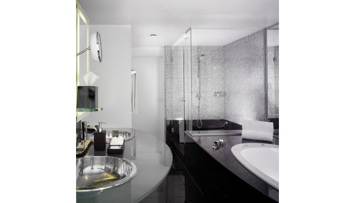 Hotel Hyatt Regency Paris - Charles De Gaulle poza 4