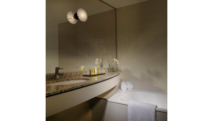 Hotel Hyatt Regency Paris - Charles De Gaulle poza 3