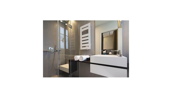 Poza pentru Hotel D Strasbourg 36-1475102809 Hotel D Strasbourg poza 12