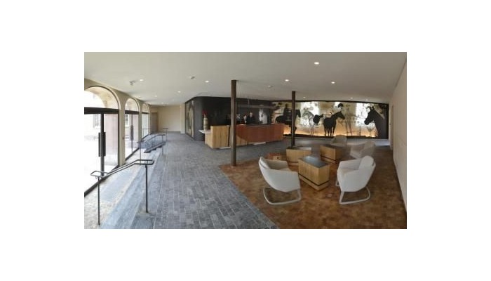 Hotel Les Haras poza 8