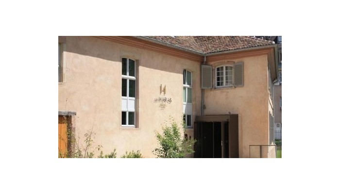 Hotel Les Haras poza 14