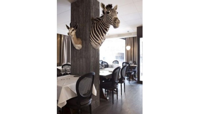 Hotel Rohan poza 36