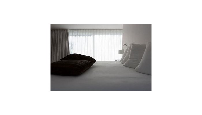 Villa Novarina poza 3