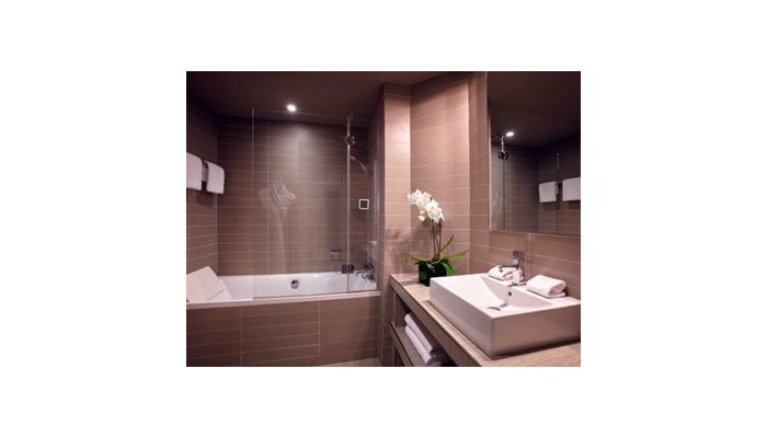 Hotel Pullman Toulouse Centre poza 5