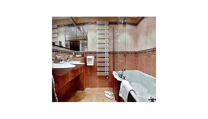 Hotel Alpen Ruitor poza 2